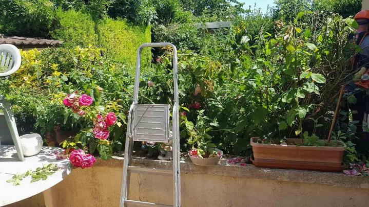 Entretien jardin Béthune