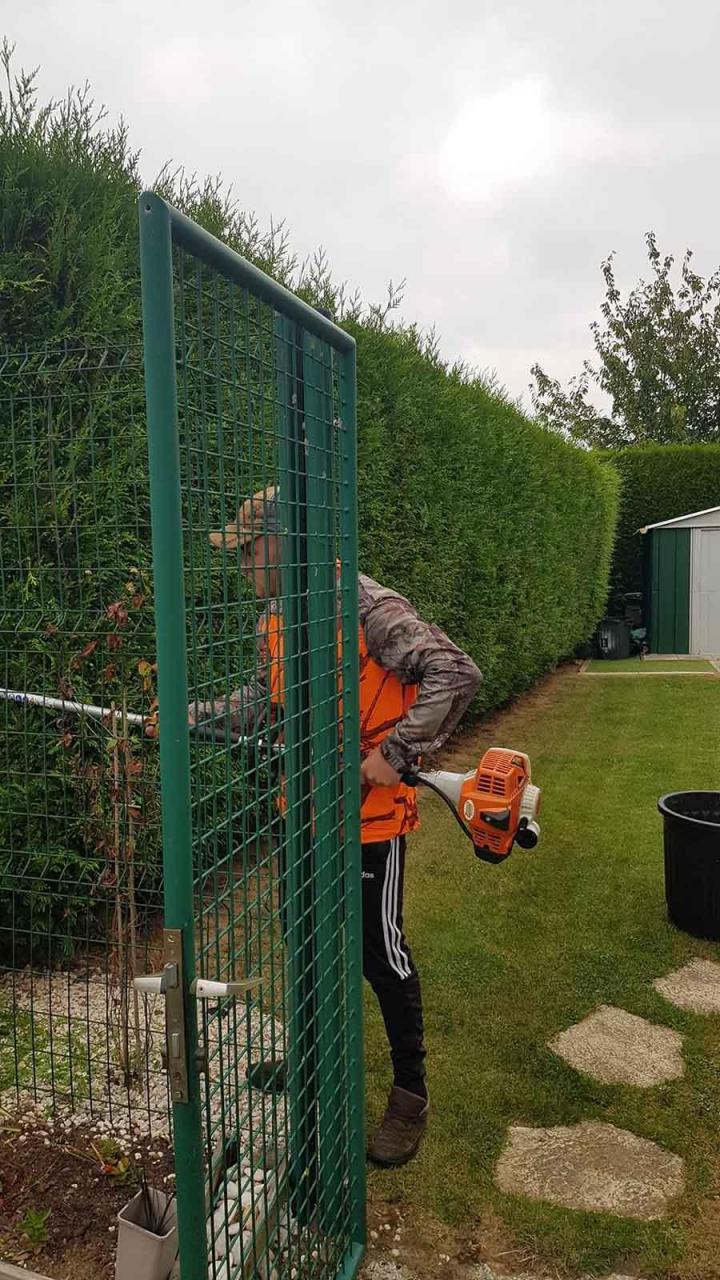 Taille d'arbuste Béthune