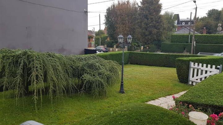 Tonte pelouse Béthune