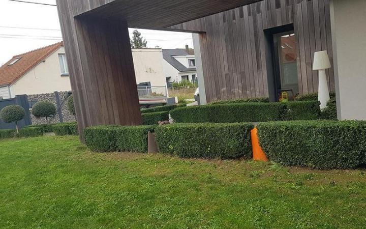 Entretien jardin Béthune