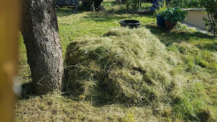 Travaux de débroussaillage