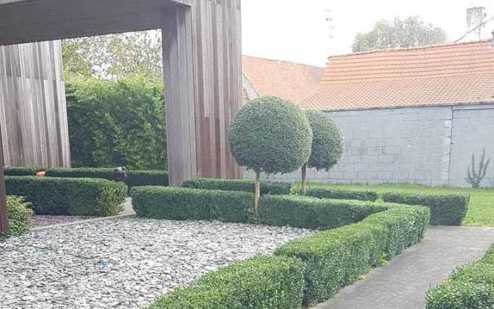 Entretien jardin Béthune