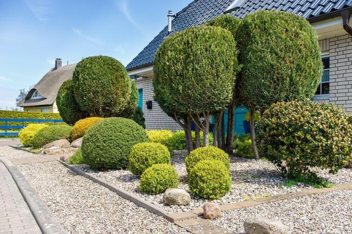 Taille d'arbuste Béthune,