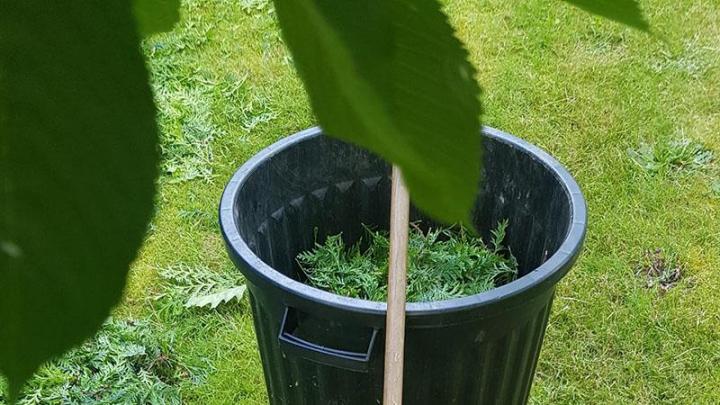 Évacuation des déchets